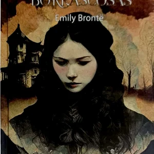 PD CUMBRES BORRASCOSAS