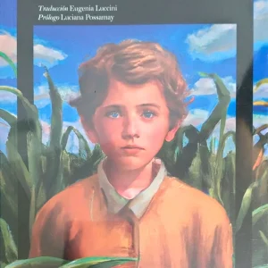 CORAZON DIARIO DE UN NINO