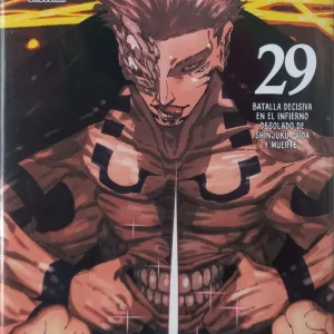 JUJUTSU KAISEN 29
