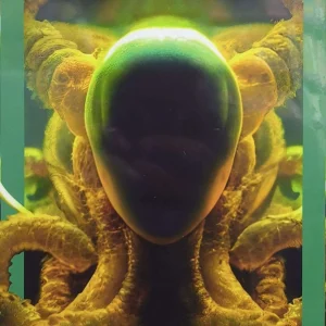 POEMAS LOVECRAFT (INTEGRO)