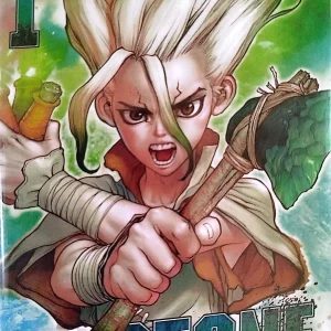 DR STONE 1