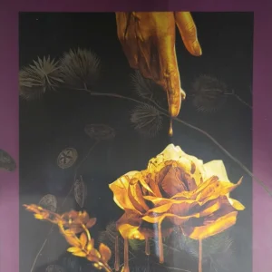 AMOR Y SINCRONICIDAD